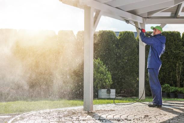 Best Pool Deck Cleaning  in Mino, CA